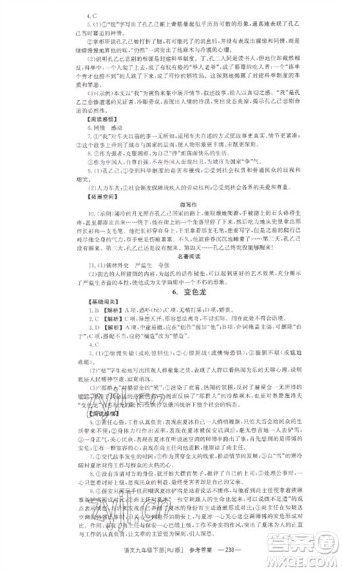湖南教育出版社2023全效学习同步学练测九年级语文下册人教版参考答案