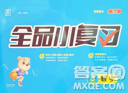 天津人民出版社2023全品小复习三年级下册数学苏教版参考答案