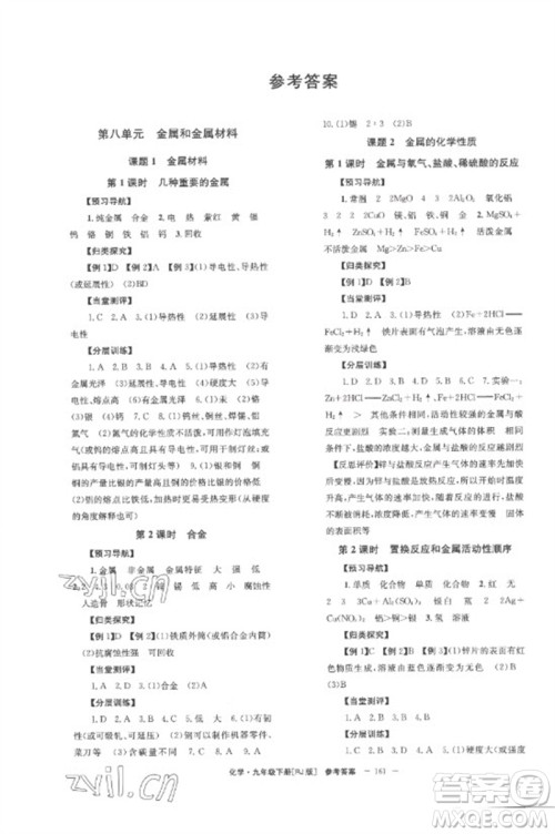 湖南教育出版社2023全效学习同步学练测九年级化学下册人教版参考答案