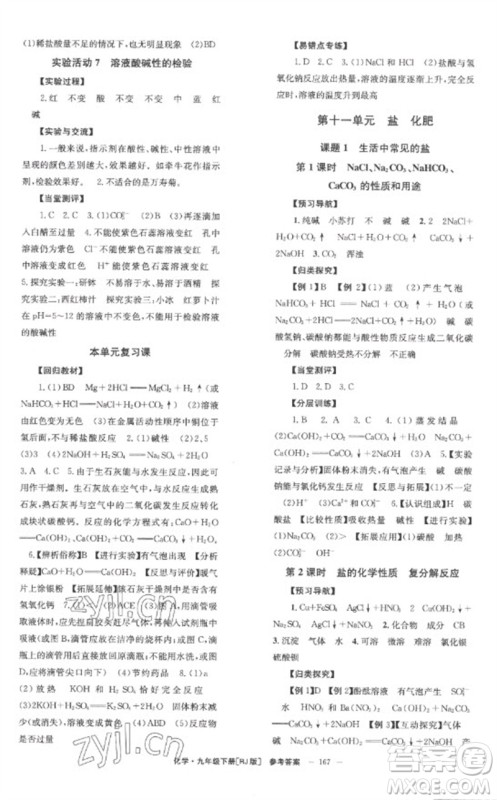 湖南教育出版社2023全效学习同步学练测九年级化学下册人教版参考答案