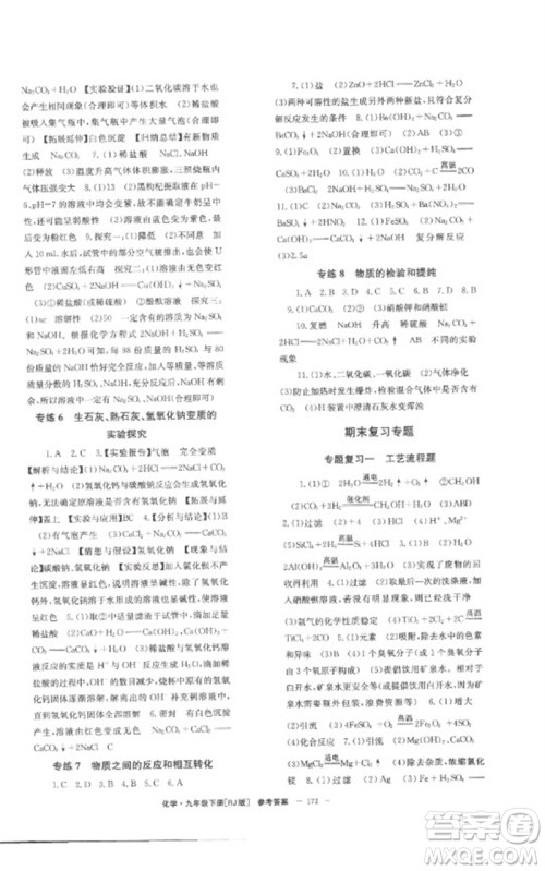 湖南教育出版社2023全效学习同步学练测九年级化学下册人教版参考答案