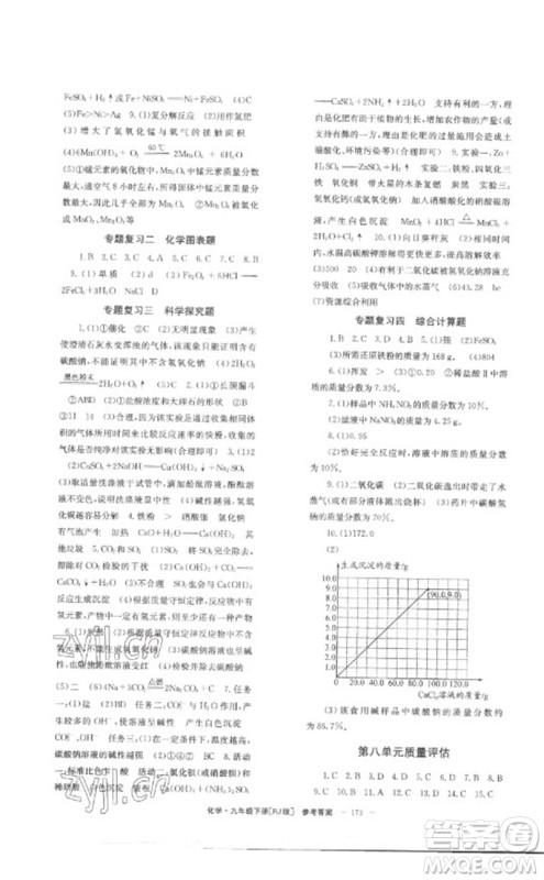 湖南教育出版社2023全效学习同步学练测九年级化学下册人教版参考答案