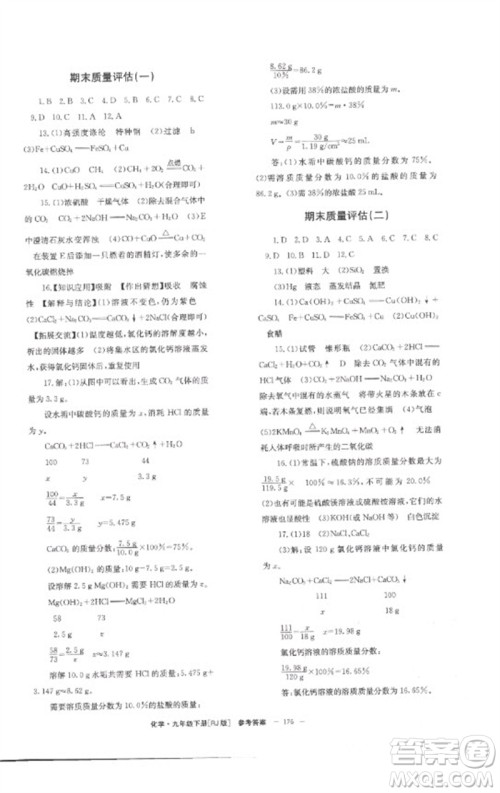 湖南教育出版社2023全效学习同步学练测九年级化学下册人教版参考答案