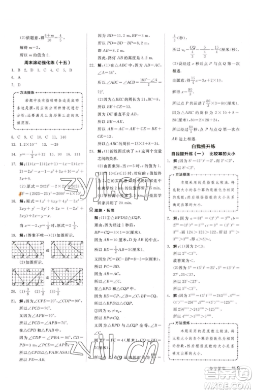 阳光出版社2023全品小复习七年级下册数学北师大版参考答案