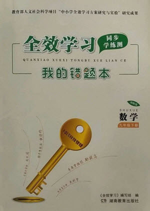 湖南教育出版社2023全效学习同步学练测九年级数学下册湘教版参考答案