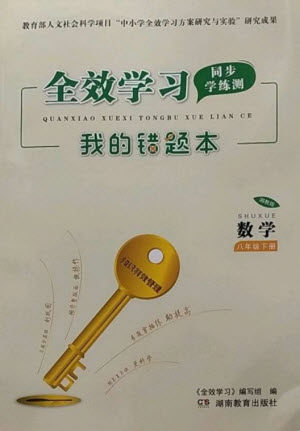 湖南教育出版社2023全效学习同步学练测八年级数学下册湘教版参考答案