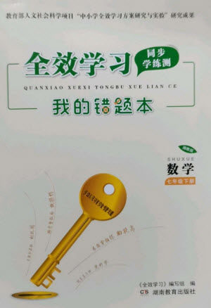 湖南教育出版社2023全效学习同步学练测七年级数学下册湘教版参考答案