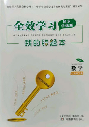 湖南教育出版社2023全效学习同步学练测七年级数学下册人教版参考答案