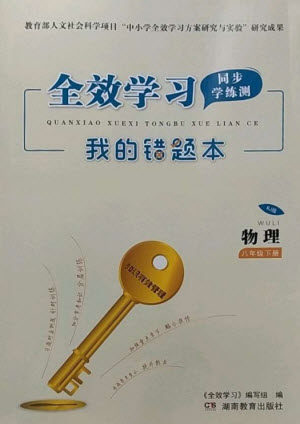 湖南教育出版社2023全效学习同步学练测八年级物理下册人教版参考答案