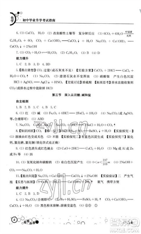 江苏凤凰科学技术出版社2023初中毕业升学考试指南九年级化学通用版参考答案