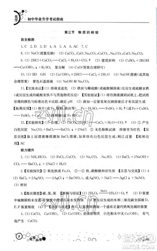 江苏凤凰科学技术出版社2023初中毕业升学考试指南九年级化学通用版参考答案