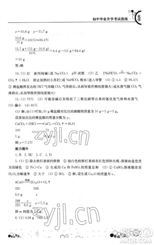 江苏凤凰科学技术出版社2023初中毕业升学考试指南九年级化学通用版参考答案