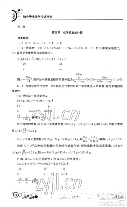 江苏凤凰科学技术出版社2023初中毕业升学考试指南九年级化学通用版参考答案