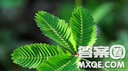 ___点亮前方为题作文600字 关于___点亮前方为题的作文600字