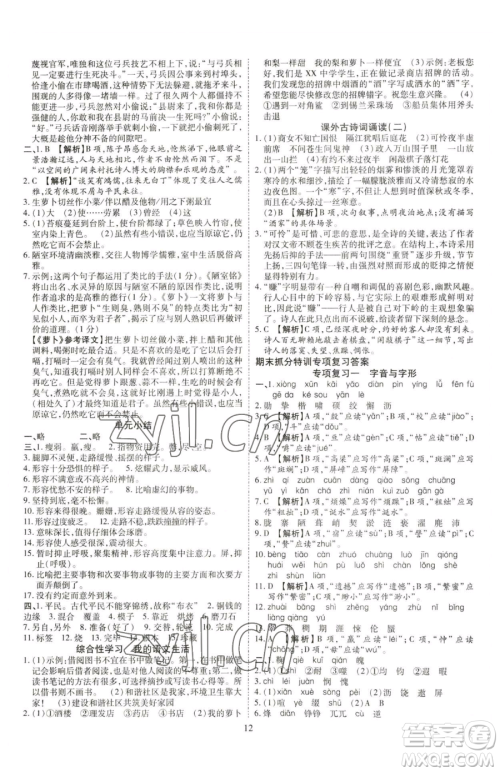 云南美术出版社2023畅行课堂七年级下册语文人教版参考答案