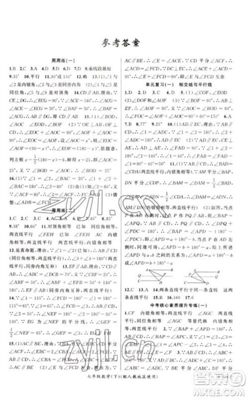 新疆青少年出版社2023原创新课堂七年级数学下册人教版参考答案