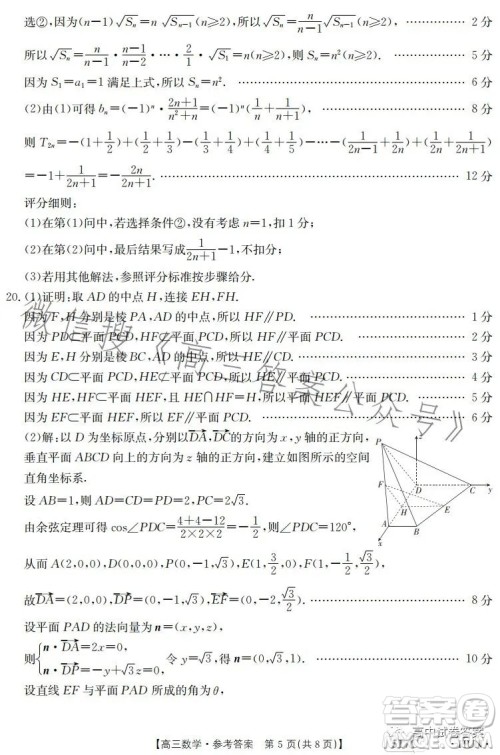 2023金太阳5月17联考517CHUN高三数学试卷答案