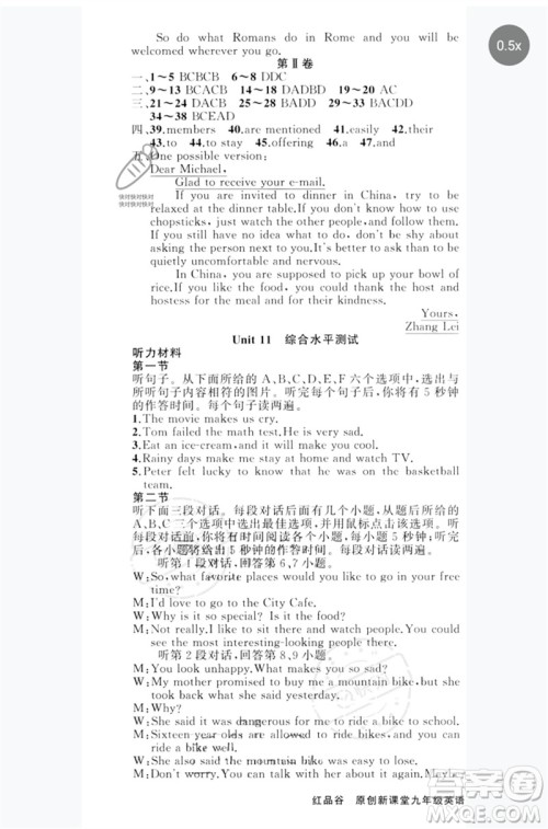 新疆青少年出版社2023原创新课堂九年级英语下册人教版红品谷参考答案