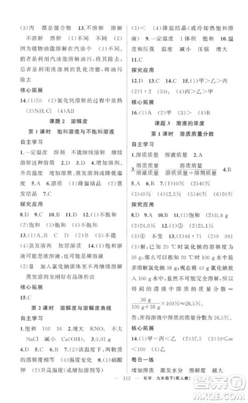 新疆青少年出版社2023原创新课堂九年级化学下册人教版参考答案 新疆青少年出版社2023原创新课堂九年级化学下册人教版参考答案