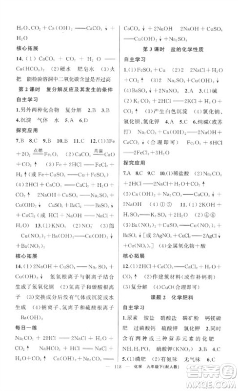 新疆青少年出版社2023原创新课堂九年级化学下册人教版参考答案 新疆青少年出版社2023原创新课堂九年级化学下册人教版参考答案