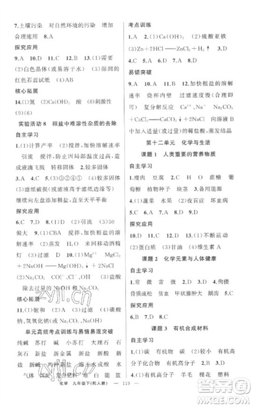 新疆青少年出版社2023原创新课堂九年级化学下册人教版参考答案 新疆青少年出版社2023原创新课堂九年级化学下册人教版参考答案