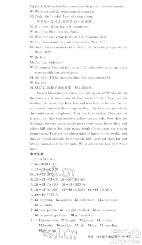 新疆青少年出版社2023原创新课堂九年级英语下册人教版参考答案