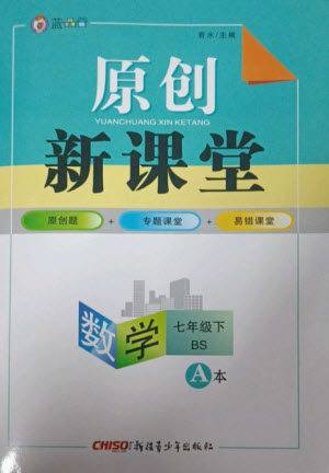 新疆青少年出版社2023原创新课堂七年级数学下册北师大版深圳专版参考答案