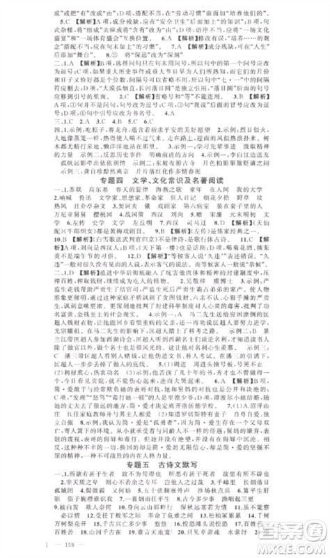 新疆青少年出版社2023原创新课堂九年级语文下册人教版参考答案