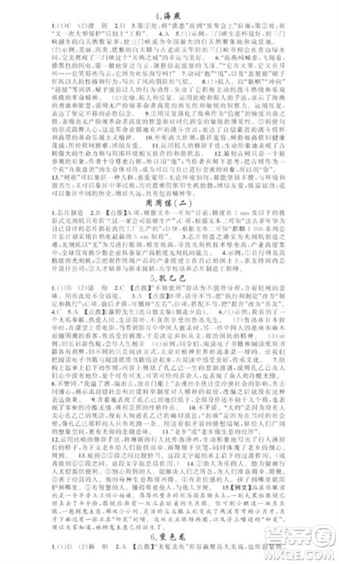 新疆青少年出版社2023原创新课堂九年级语文下册人教版少年季河南专版参考答案