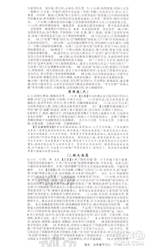 新疆青少年出版社2023原创新课堂九年级语文下册人教版少年季河南专版参考答案