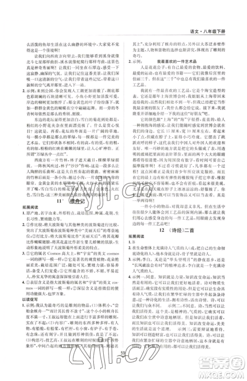 云南科技出版社2023名师金典BFB初中课时优化八年级下册语文人教版参考答案