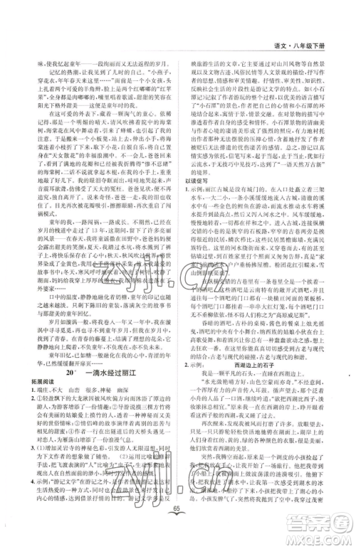 云南科技出版社2023名师金典BFB初中课时优化八年级下册语文人教版参考答案