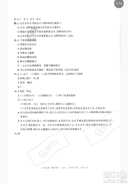广东经济出版社2023名师金典课堂练习六年级下册语文人教版参考答案