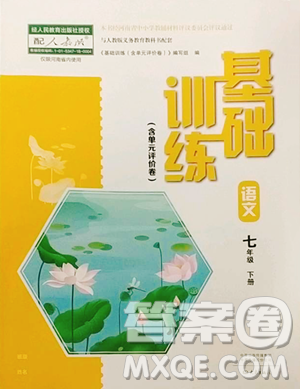 大象出版社2023基础训练七年级下册语文人教版参考答案 大象出版社2023基础训练七年级下册语文人教版参考答案