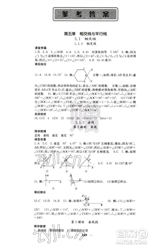 四川大学出版社2023名校课堂内外七年级数学下册人教版云南专版参考答案