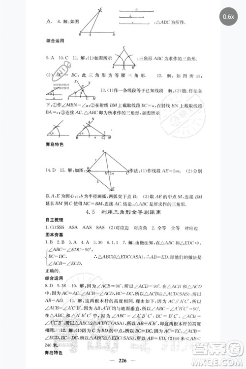 四川大学出版社2023名校课堂内外七年级数学下册北师大版青岛专版参考答案