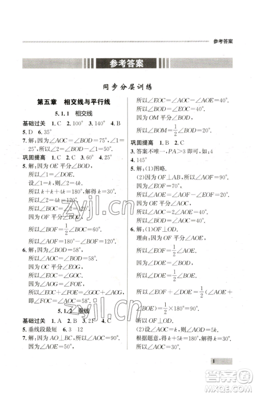 延边大学出版社2023点石成金金牌每课通七年级下册数学人教版参考答案