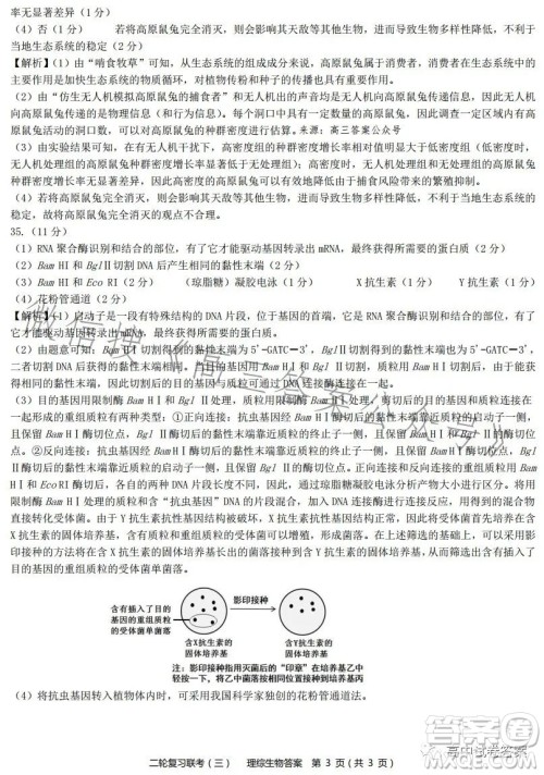 百师联盟2023届高三二轮复习联考三全国卷理科综合试题答案