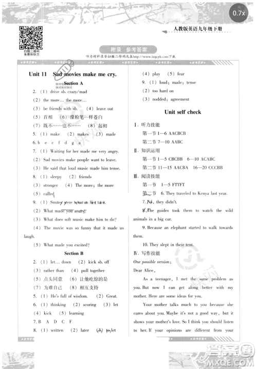湖南少年儿童出版社2023同步实践评价课程基础训练九年级下册英语人教版参考答案