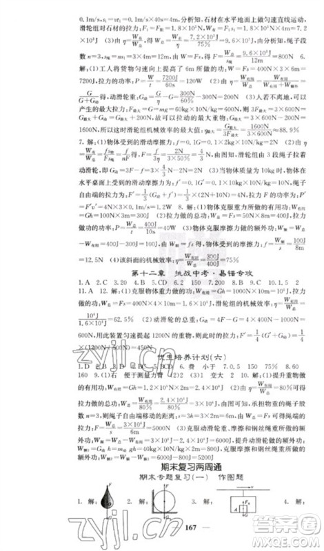 四川大学出版社2023名校课堂内外八年级物理下册人教版云南专版参考答案