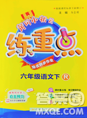 龙门书局2023黄冈小状元练重点培优同步作业六年级下册语文人教版参考答案