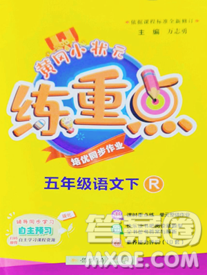 龙门书局2023黄冈小状元练重点培优同步作业五年级下册语文人教版参考答案