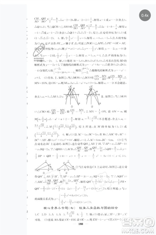 四川大学出版社2023名校课堂内外九年级数学下册人教版参考答案