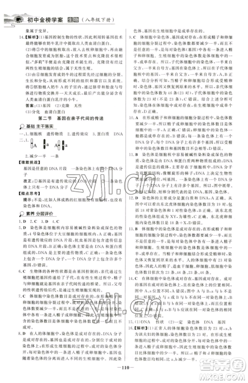 河北少年儿童出版社2023世纪金榜金榜学案八年级下册生物人教版河南专版参考答案