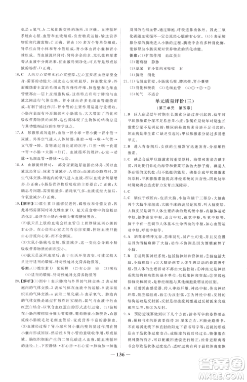 河北少年儿童出版社2023世纪金榜金榜学案七年级下册生物济南版参考答案 河北少年儿童出版社2023世纪金榜金榜学案七年级下册生物济南版参考答案