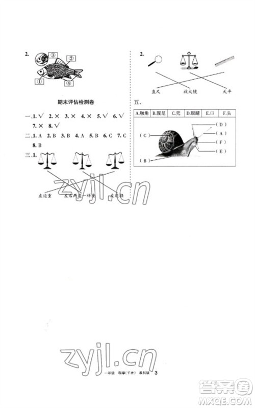 宁夏人民教育出版社2023学习之友一年级科学下册教科版参考答案