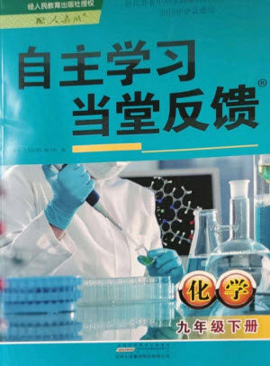 黄山书社2023自主学习当堂反馈九年级化学下册人教版参考答案