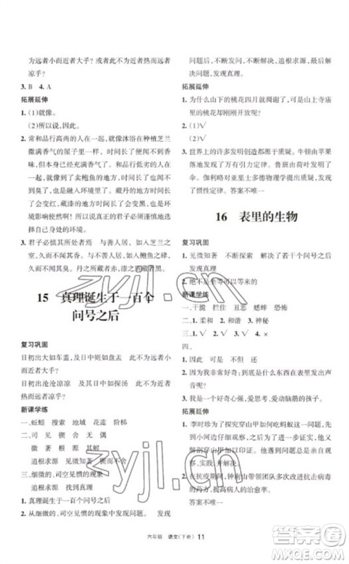宁夏人民教育出版社2023学习之友六年级语文下册人教版参考答案 宁夏人民教育出版社2023学习之友六年级语文下册人教版参考答案