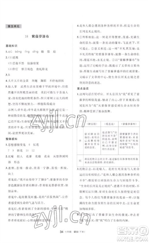 宁夏人民教育出版社2023学习之友七年级语文下册人教版参考答案