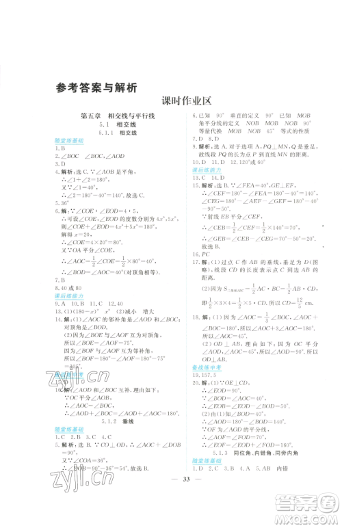 青海人民出版社2023新坐标同步练习七年级下册数学人教版青海专用参考答案